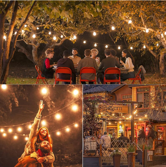 Solar Festoon Lights